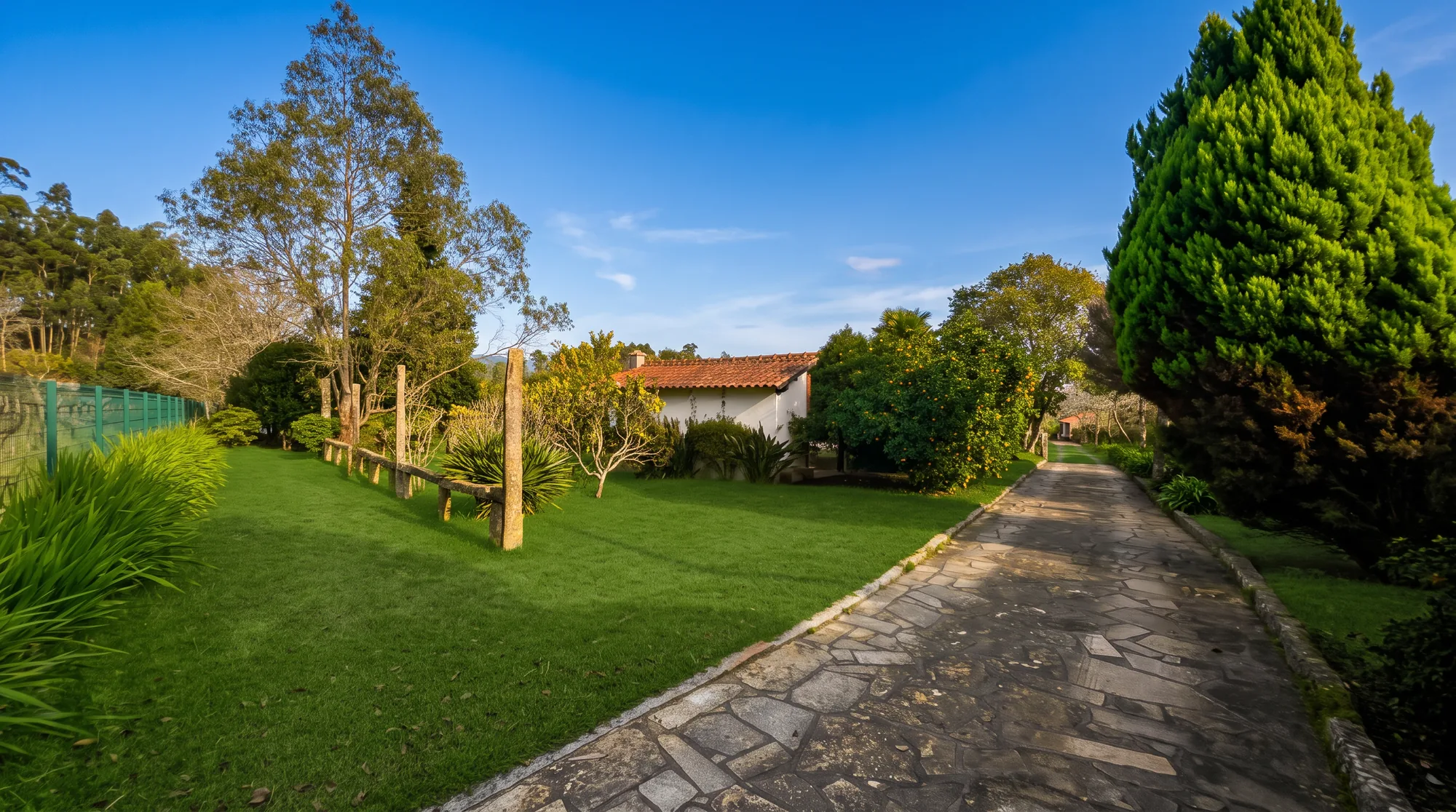 Stone driveway lined with lawn, orange trees, and a wooden fence, leading toward the house